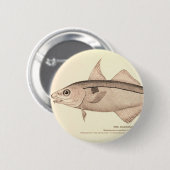 Vintage Illustration der Schellfische Button (Vorne & Hinten)