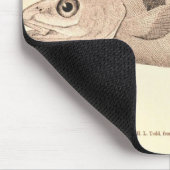 Vintage Illustration der Schellfische Mousepad (Ecke)