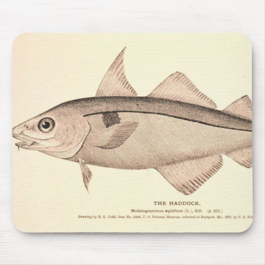 Vintage Illustration der Schellfische Mousepad (Vorne)