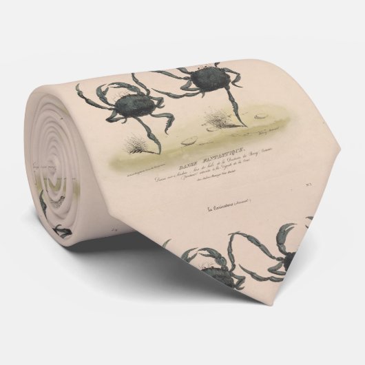Vintage Illustration der Tanzkrabbe (1849) Krawatte (Gerollt)