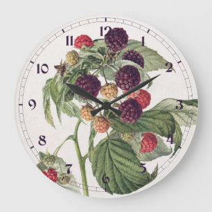 Vintage-Illustration der violetten Himbeere Große Wanduhr