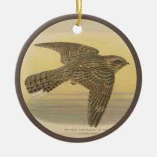 Vintage Illustration des europäischen Nachtjars Keramik Ornament