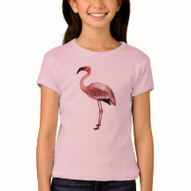 Vintage Illustration des Flamingos