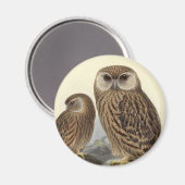 Vintage Illustration des Laughing Owl Magnet (Vorderseite/Rückseite)