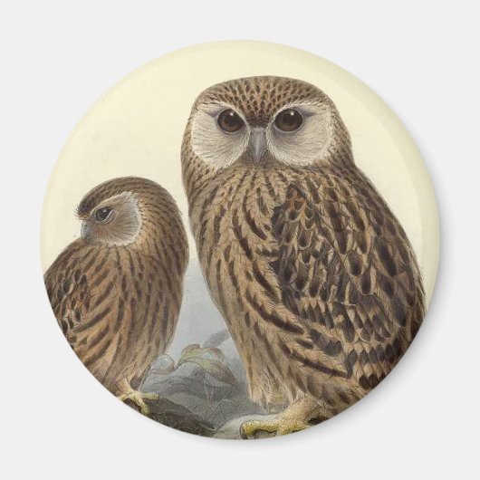 Vintage Illustration des Laughing Owl Magnet (Vorne)