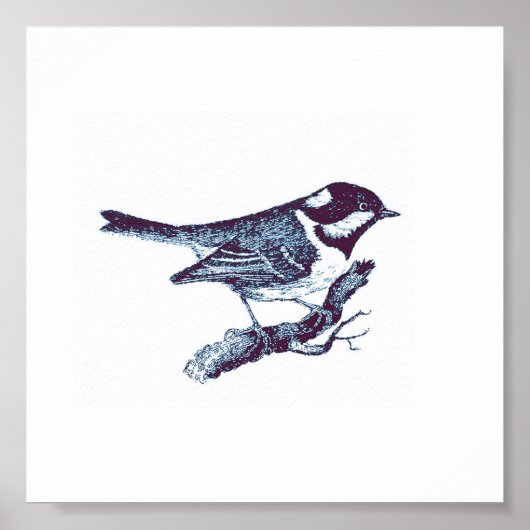 Vintage Illustration des Niedlichen Blauen Vogels Poster (Vorne)