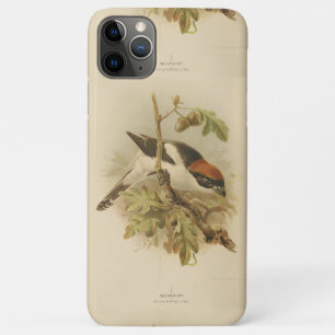 Vintage-Illustration des Rotkopfwürgers Case-Mate iPhone Hülle