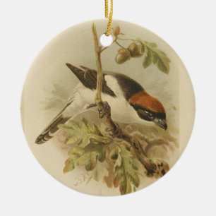 Vintage-Illustration des Rotkopfwürgers Keramik Ornament