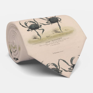 Vintage Illustration des Tanzens kratzt (1849) Krawatte