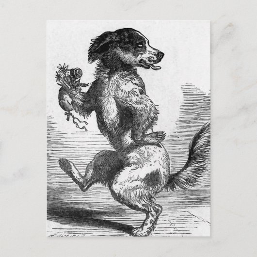 Vintage Illustration "Dog Dancing a Jig" Postkarte (Vorderseite)