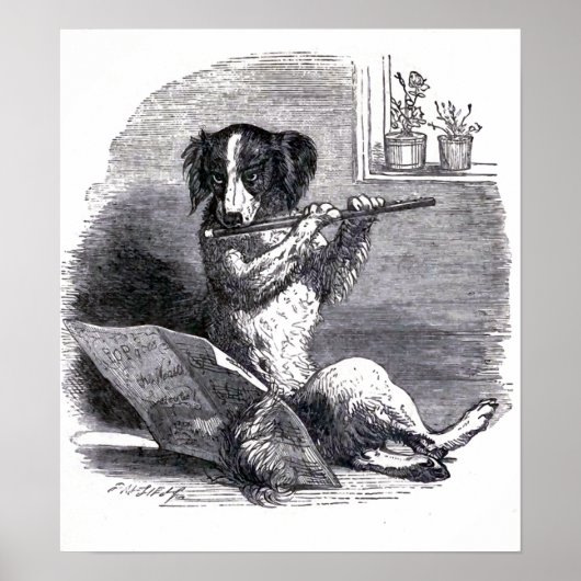 Vintage Illustration "Dog Playing the Flute" Poster (Vorne)