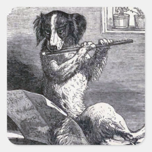 Vintage Illustration "Dog Playing the Flute" Quadratischer Aufkleber