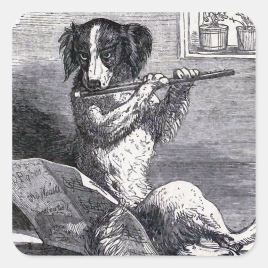Vintage Illustration "Dog Playing the Flute" Quadratischer Aufkleber (Vorderseite)