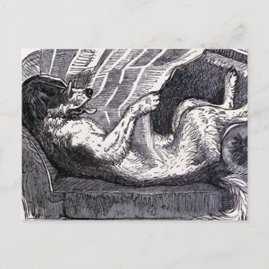 Vintage Illustration "Dog Reading Newspaper" Postkarte (Vorderseite)