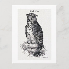 Vintage Illustration "Eagle Owl" Postkarte
