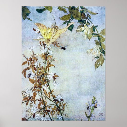 Vintage Illustration Edmund Dulac Tempest Poster (Vorne)