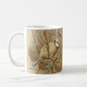 Vintage-Illustration einer Blaumeise Kaffeetasse