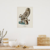 Vintage-Illustration einer Eule Poster (Küche)