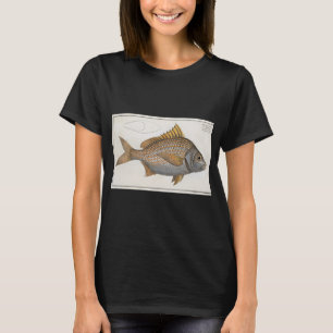 Vintage-Illustration einer Gelbflossen-Grunzer (17 T-Shirt