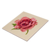 Vintage Illustration einer Großen Korallenrosa-Peo Fliese (Seite)