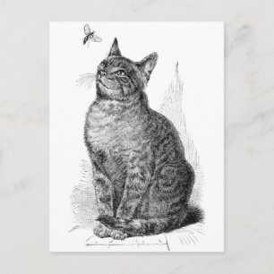 Vintage-Illustration einer Katze, die ein Insekt b Postkarte