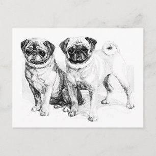 Vintage-Illustration einer Mops Postkarte