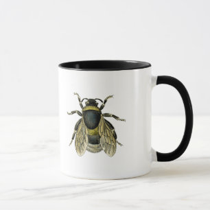 Vintage Illustration einer schwarzen und gelben Hu Tasse