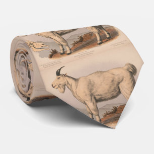 Vintage Illustration einer Ziege (1874) Krawatte