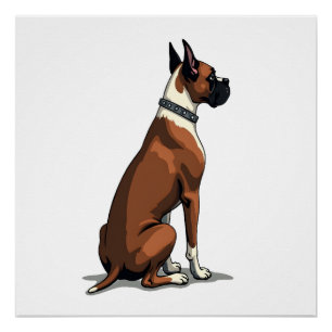 Vintage-Illustration eines Boxerhundes von hinten Poster