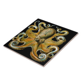 Vintage Illustration eines goldenen Oktopus Fliese