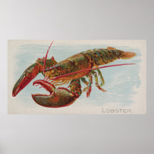 Vintage Illustration eines Hummers (1889) Poster
