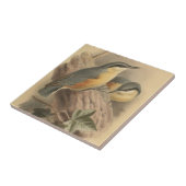Vintage-Illustration eines Kleibers Fliese (Seite)