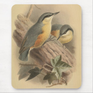 Vintage-Illustration eines Kleibers Mousepad