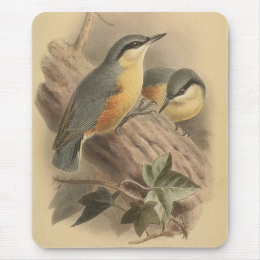 Vintage-Illustration eines Kleibers Mousepad (Vorne)