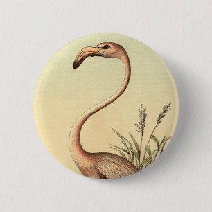 Vintage-Illustration eines rosa Flamingos Button
