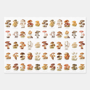 Vintage Illustration essbare, nicht essbare Pilze Geschenkpapier Set