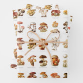 Vintage Illustration essbare, nicht essbare Pilze Geschenkpapier Set (Beispiel)