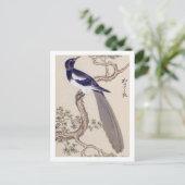 Vintage Illustration: Eurasische Magie Postkarte (Stehend Vorderseite)