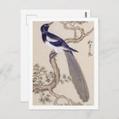 Vintage Illustration: Eurasische Magie Postkarte (Vorne/Hinten)