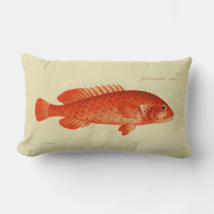 Vintage Illustration fischen das Geld Lendenkissen