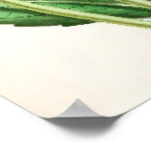 Vintage Illustration "Flambeau Dahlia" Poster (Ecke)