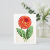 Vintage Illustration "Flambeau Dahlia" Postkarte (Stehend Vorderseite)