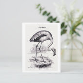 Vintage Illustration "Flamingo" Postkarte (Stehend Vorderseite)