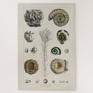 VINTAGE-ILLUSTRATION FOSSILIEN-KARTE PUZZLE