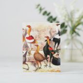 Vintage Illustration "Game Bantams" Postkarte (Stehend Vorderseite)