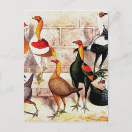 Vintage Illustration "Game Bantams" Postkarte