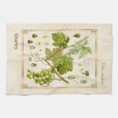 Vintage Illustration Grüne Traubenfrucht Botanisch Geschirrtuch (Horizontal)