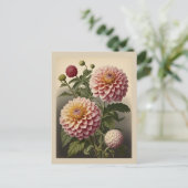 Vintage illustration of a Dahlia  Postkarte (Stehend Vorderseite)