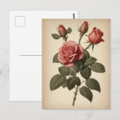 Vintage Illustration of a Rose Postkarte (Vorne/Hinten)