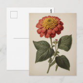Vintage illustration of a zinnia postkarte (Vorne/Hinten)